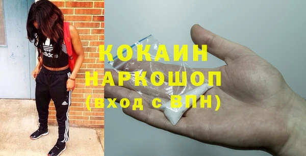 a pvp Ельня