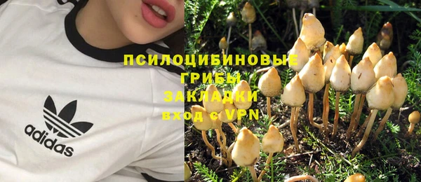 марки nbome Нязепетровск