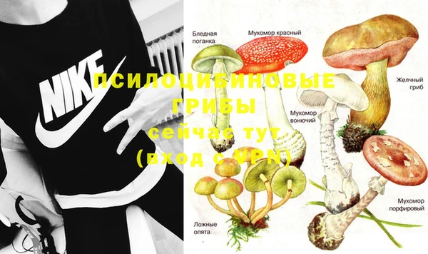 эйфоретик Лихославль