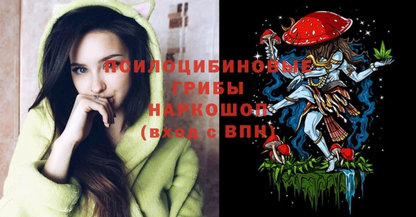скорость Медвежьегорск