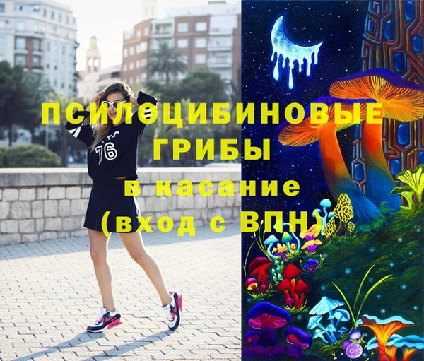 не бодяженный Осинники