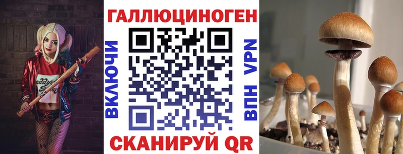Псилоцибиновые грибы ЛСД  Суздаль 