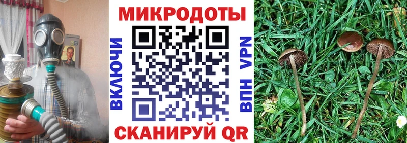 Псилоцибиновые грибы ЛСД Суздаль